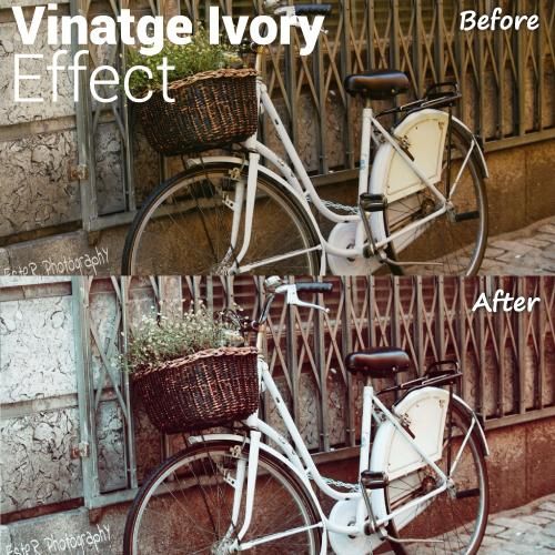 Vintage Ivory photo effect