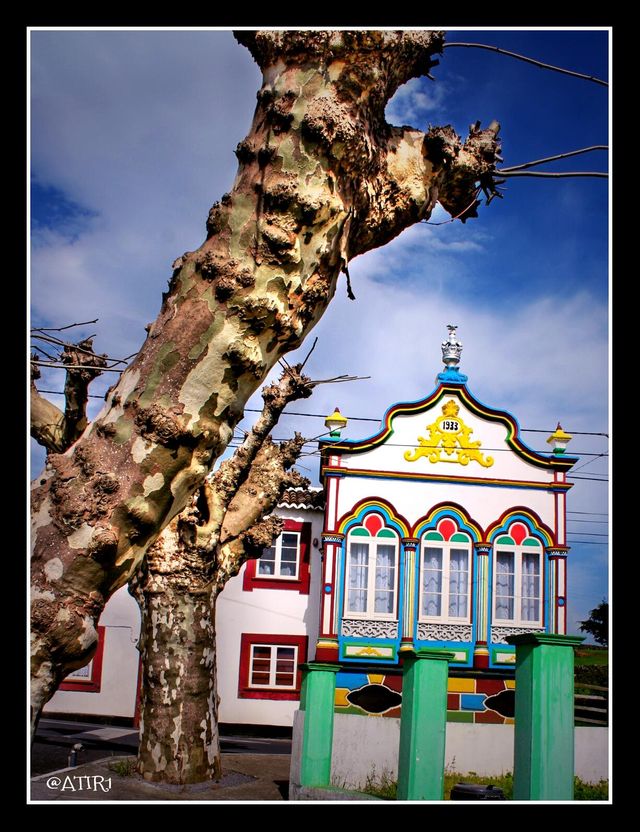 pictures of Terceira Island